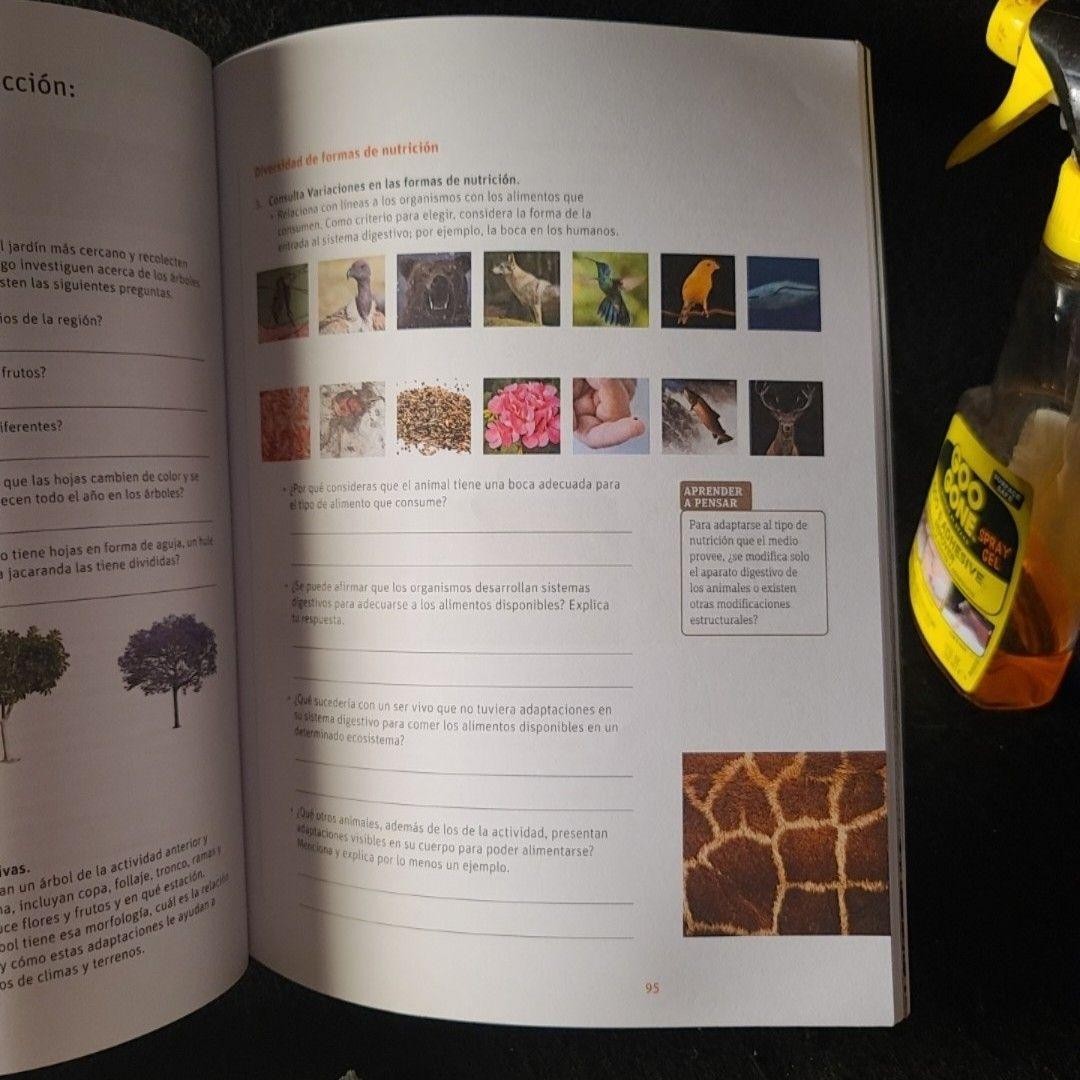 Zayil Salazar Campos Biología Savia SM 2018 Paperback Spanish Activity Book