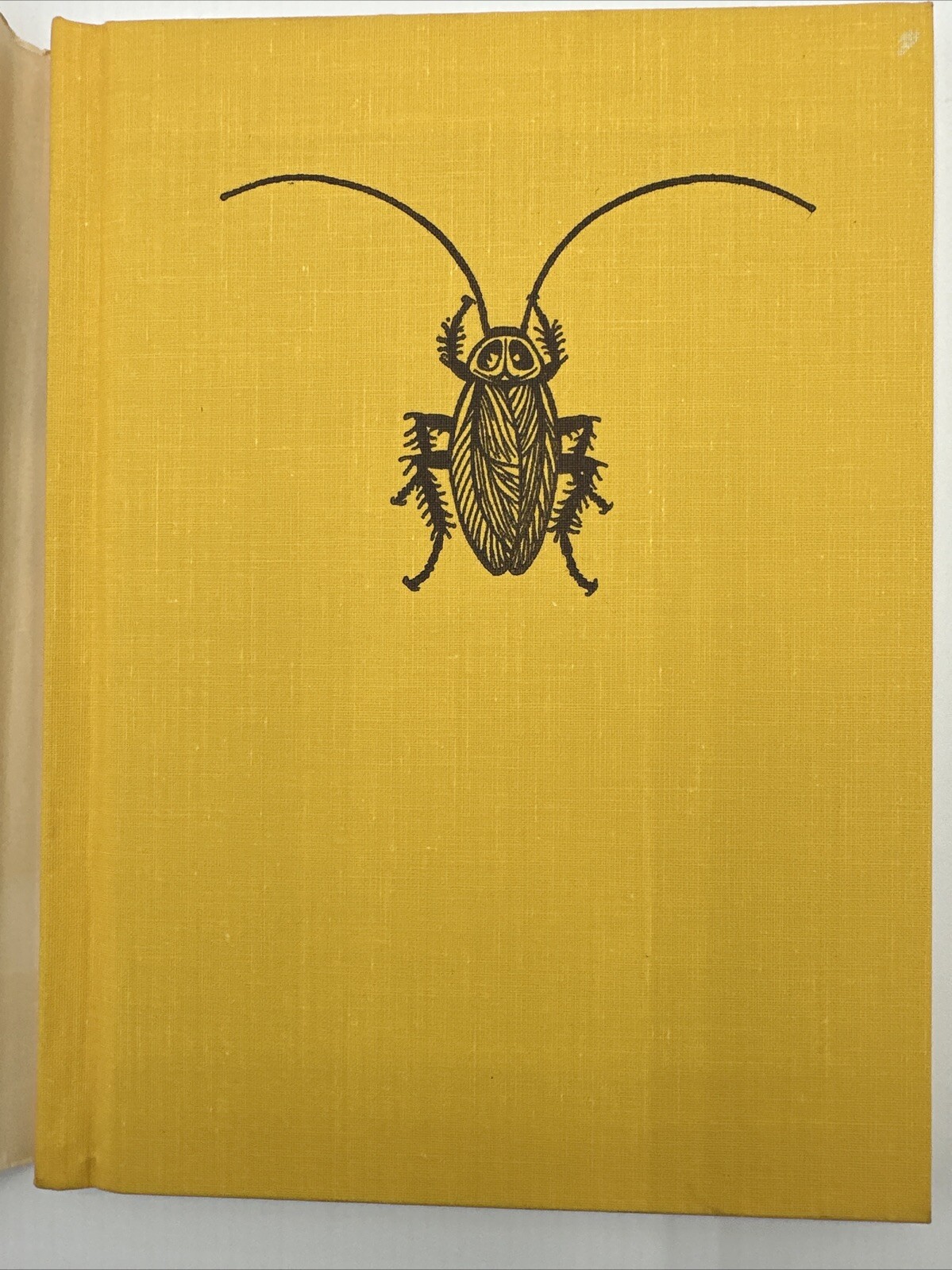 Cockroaches Joanna Cole 1971 3rd Print Jean Zallinger DJ