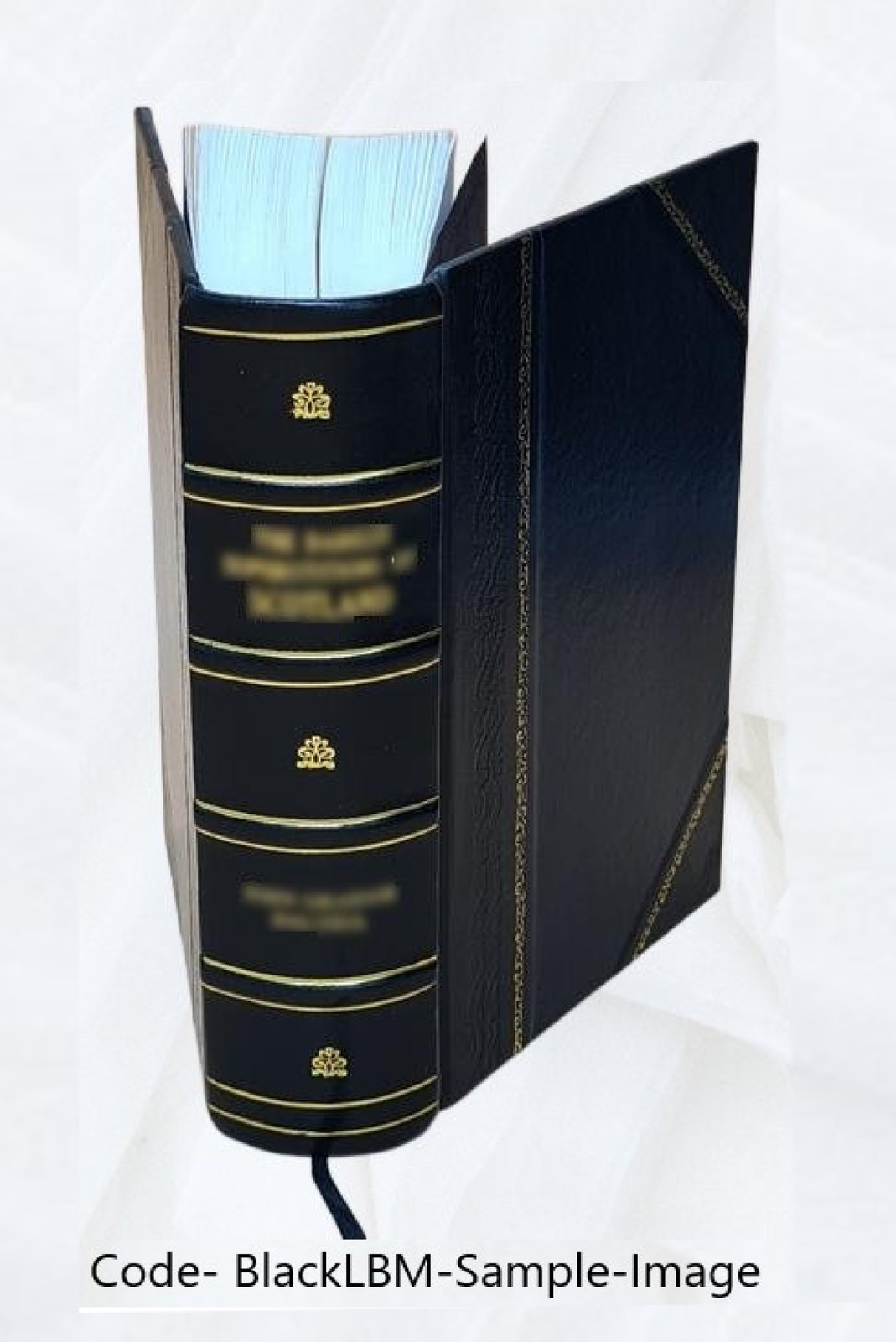 One hundred years of progress 1895 [Leather Bound]