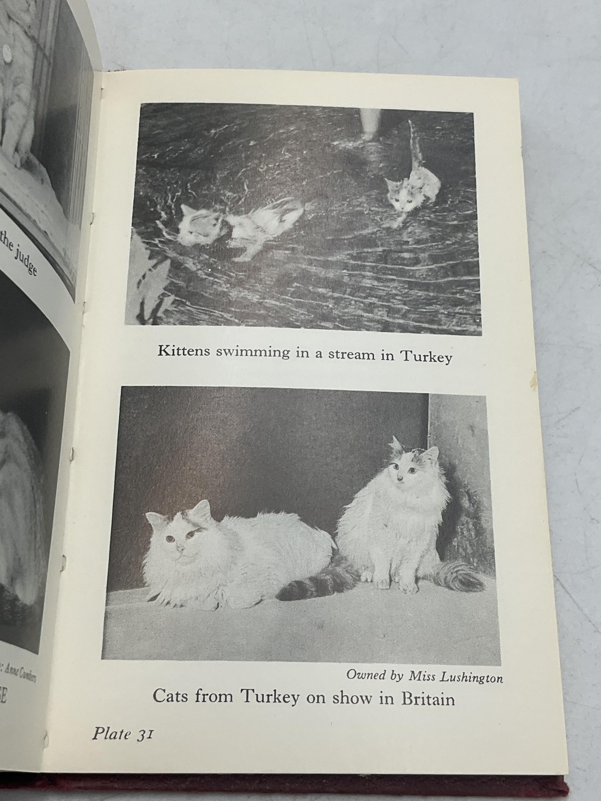 Vintage The Observer&rsquo;s Book Of Cats Grace Pond Hardcover 1971 Warne Pocket Size