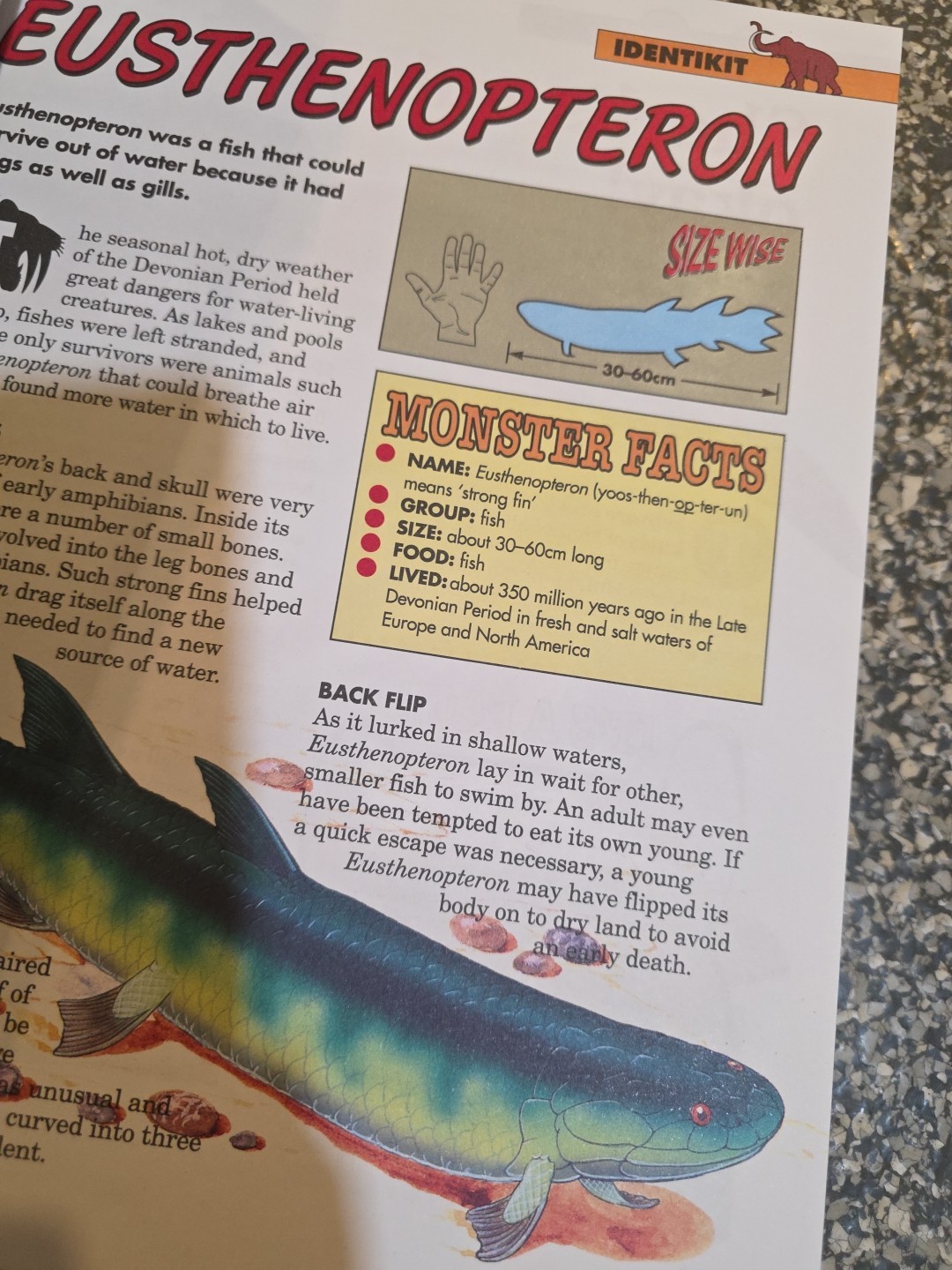 The Big Book Of Dinosaurs David Norman & 3D Glasses 4 1/2 Lbs Real Dino Facts