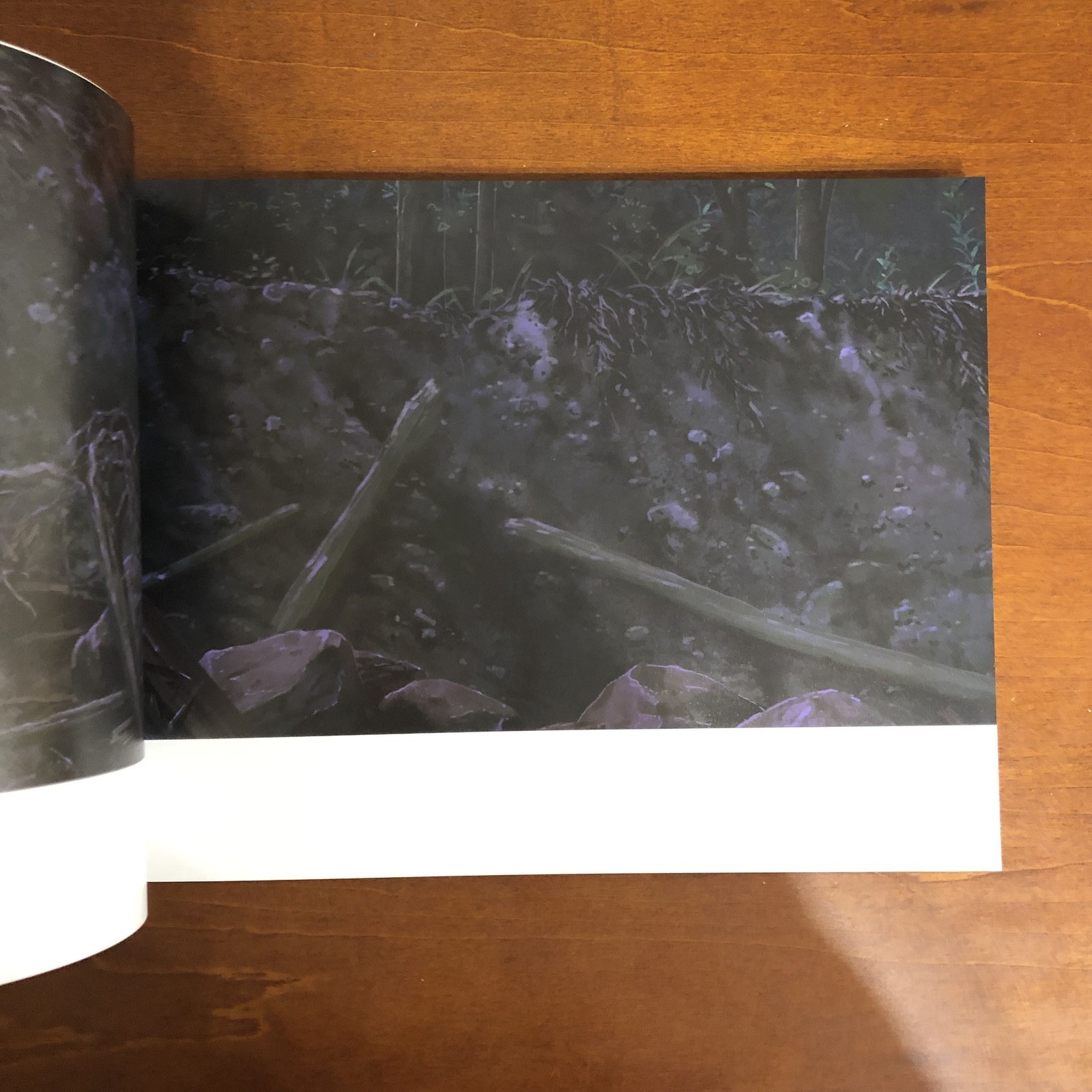 Makoto Shinkai&rsquo;s work Sparrow&rsquo;s Door Lock Art Book Illustration