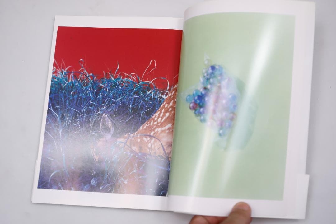 Tatsuya Kawai Photobook Blue Garden 24cm PaperBack Japanese Literature