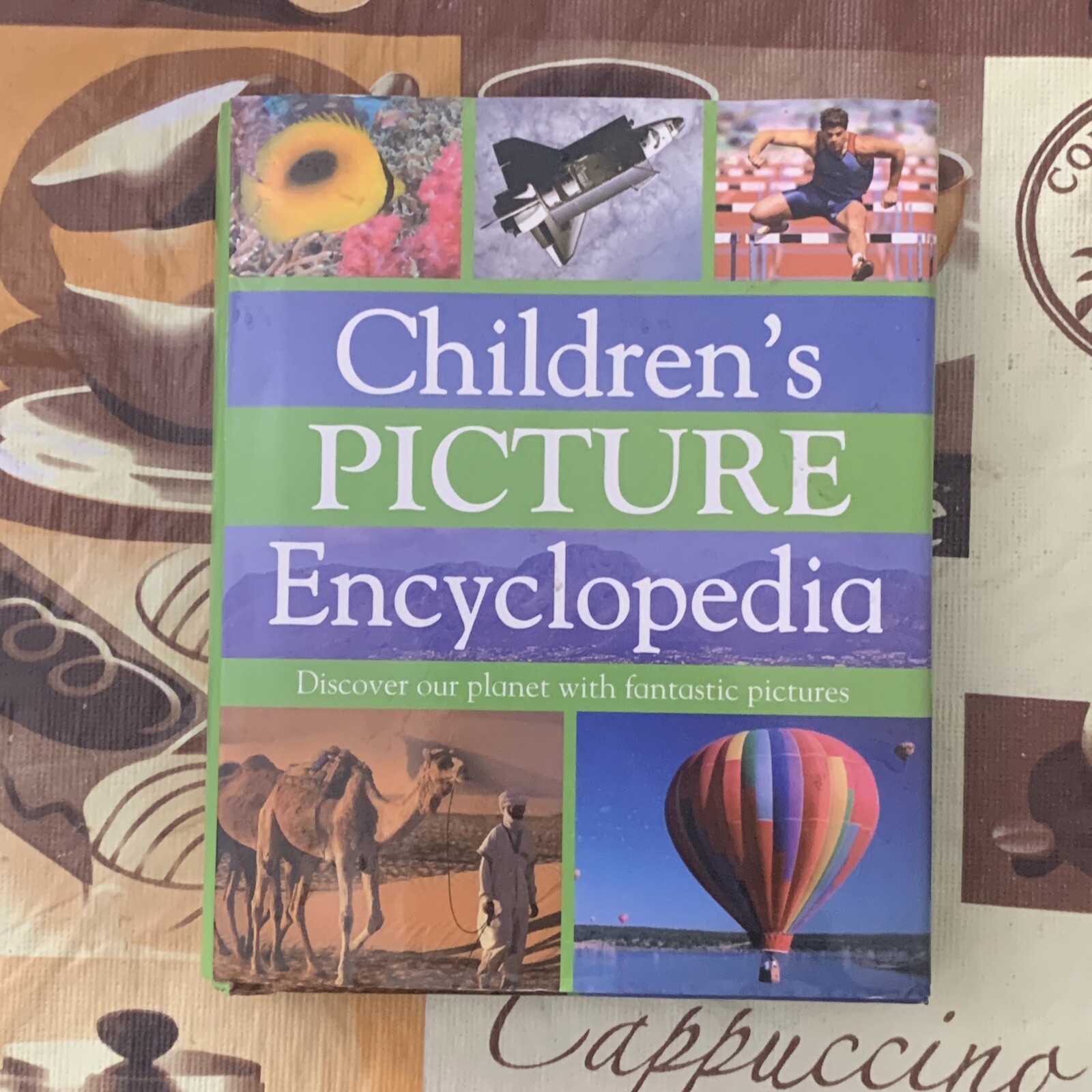 Mini Children&rsquo;s Reference Ser.: Children&rsquo;s Picture Encyclopedia (2008,…