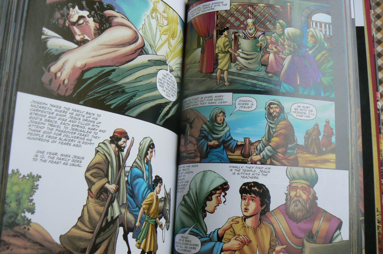 Action Bible,God&rsquo;s Redemptive Story,Graphic Narrative,Sergio Cariello 1st Ed HC