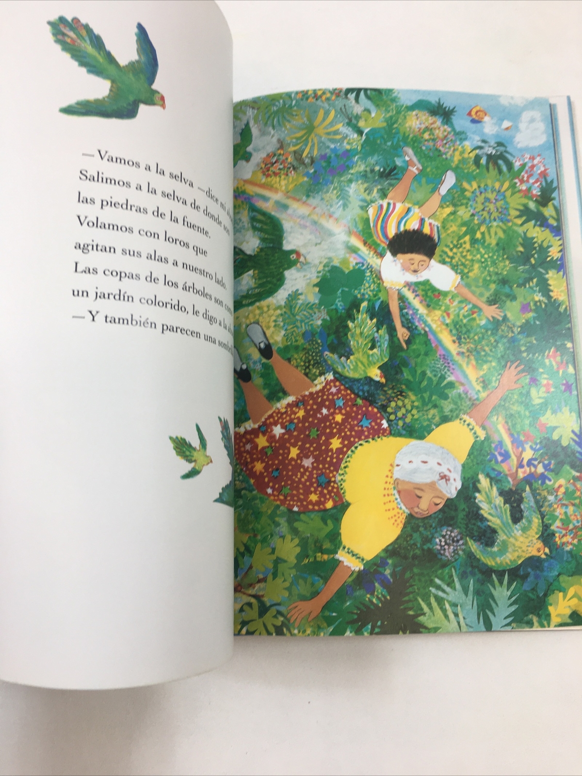 La Isla – Arthur Dorros (1995, Hardcover, Dust Jacket)