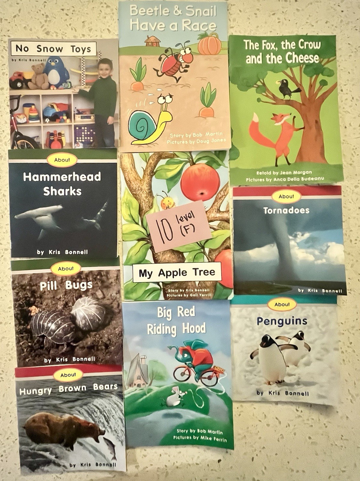 60 RR Books F&P Text Level decodable Leveled (A-F) Readers Lot, Paperback