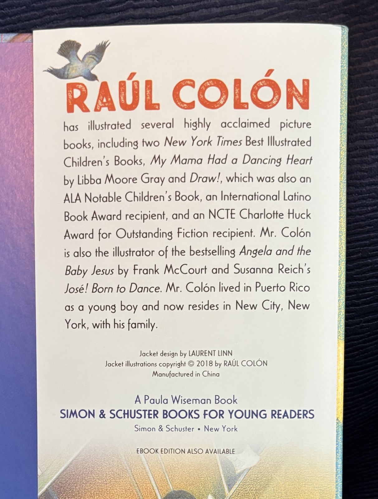 Imagine! By Raul Colon – Picture Book – Signed Unused Dust Jacket First Edition