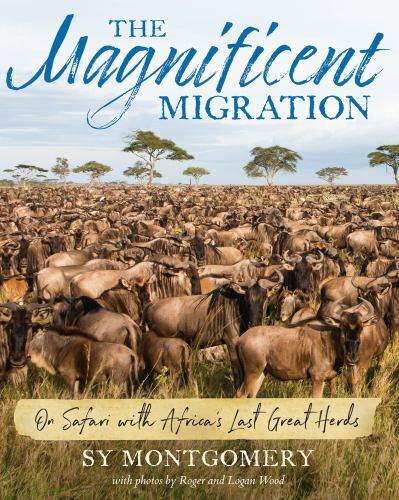 The Magnificent Migration: On Safari with – hardcover, 0544761138, Sy Montgomery