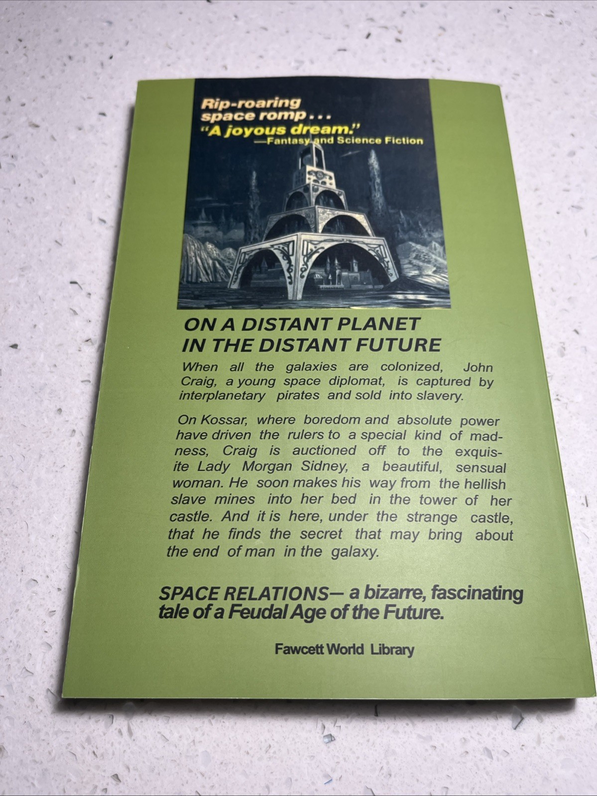 Space Relations : A Slightly Gothic Interplanetary Donald Barr Tale, Reprint