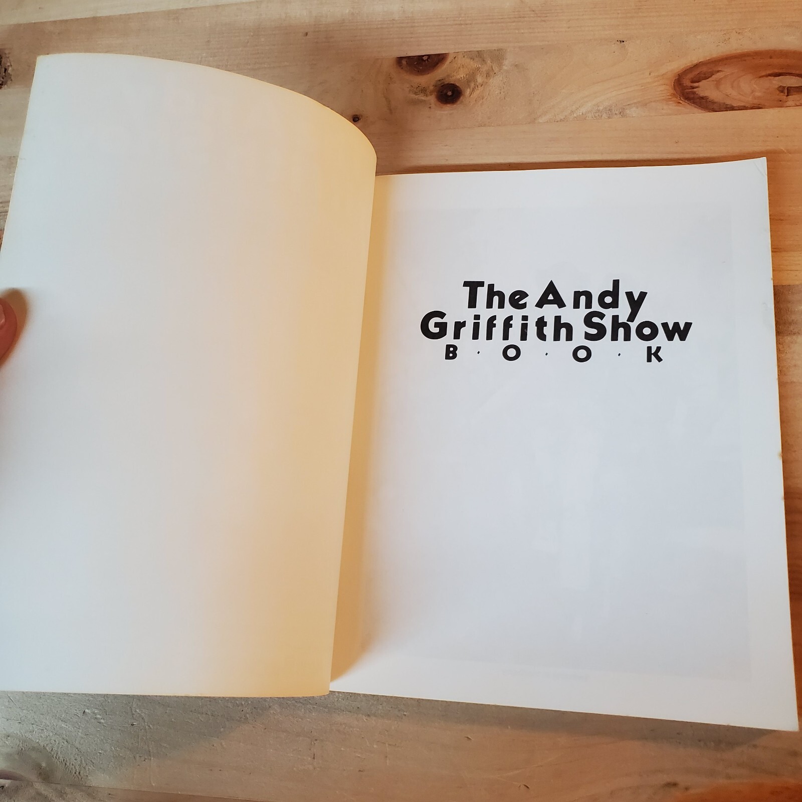 The Andy Griffith Show Book, Ken Beck & Jim Clark, St Martins Press 1985 NICE!