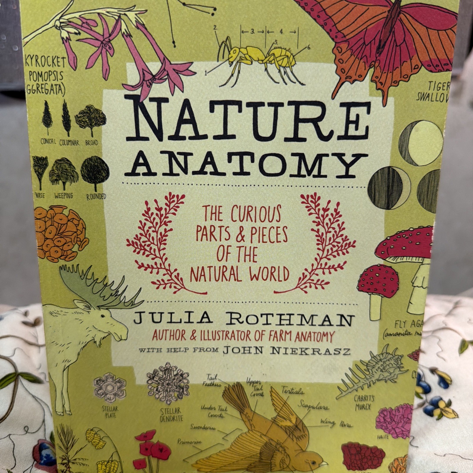Nature Anatomy by Julia Rothman & John Niekrasz Paperback Nature Reference