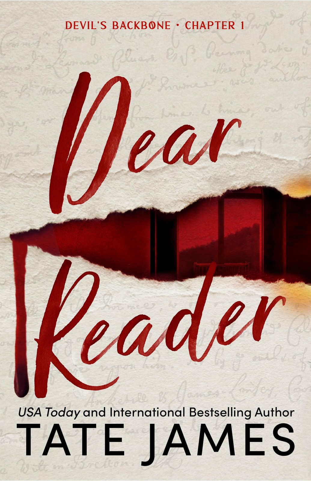 Dear Reader (Standard Edition): A Dark Academia Why Choose Romance (Devil&rsquo;s …
