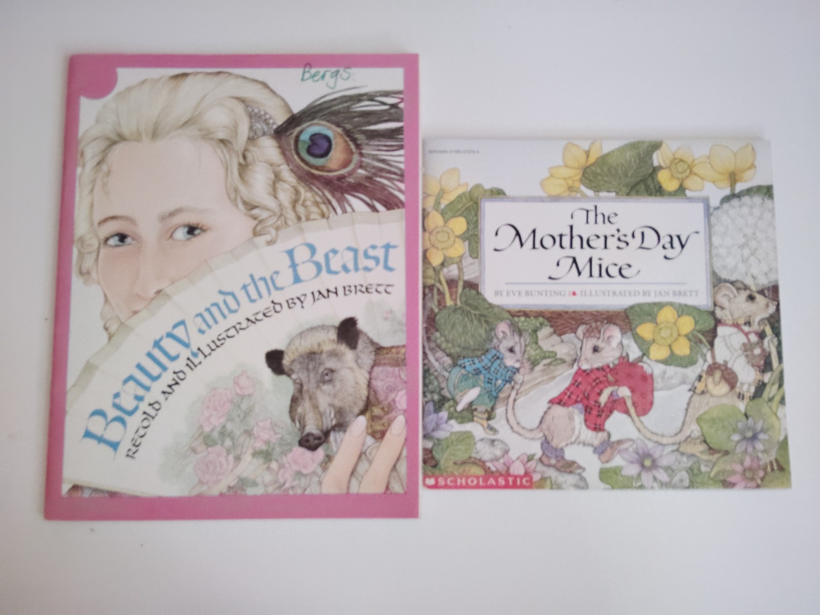 Lot of 15 Jan Brett & more kids picture story books The Hat Mitten Christmas etc