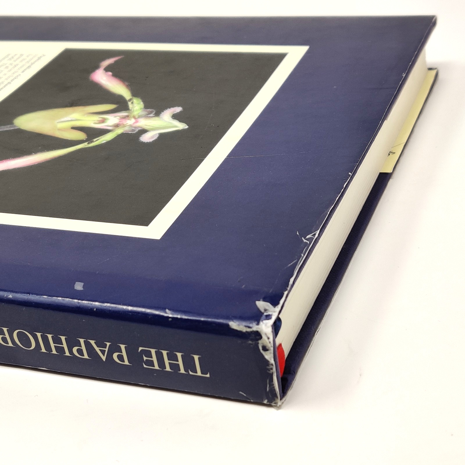 Paphiopedilum Grower&rsquo;s Manual by Lance A. Birk (1984, Hardcover) HBDJ Flowers