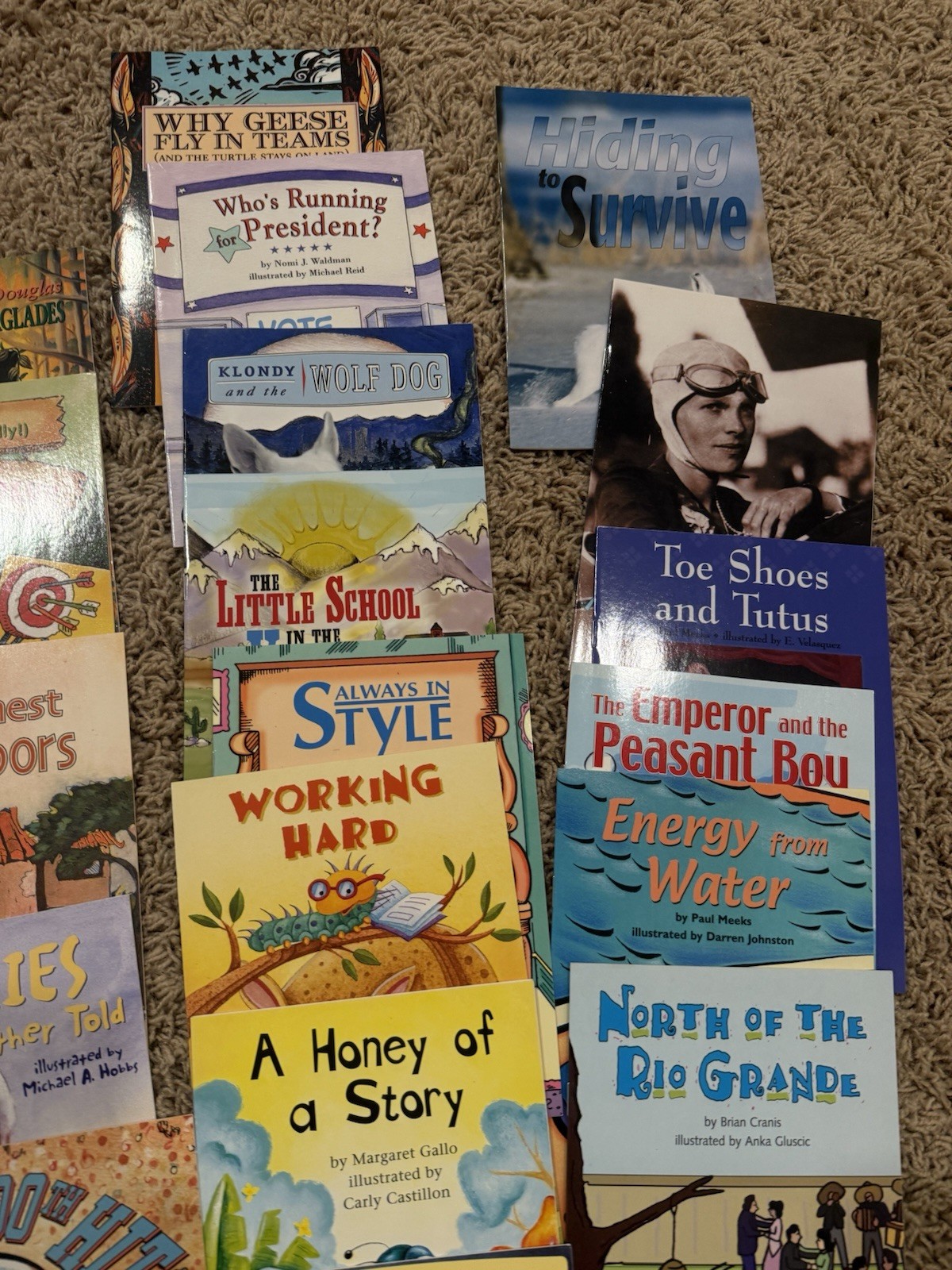 26 Harcourt Emergent Reader Variety Books Lot CD*