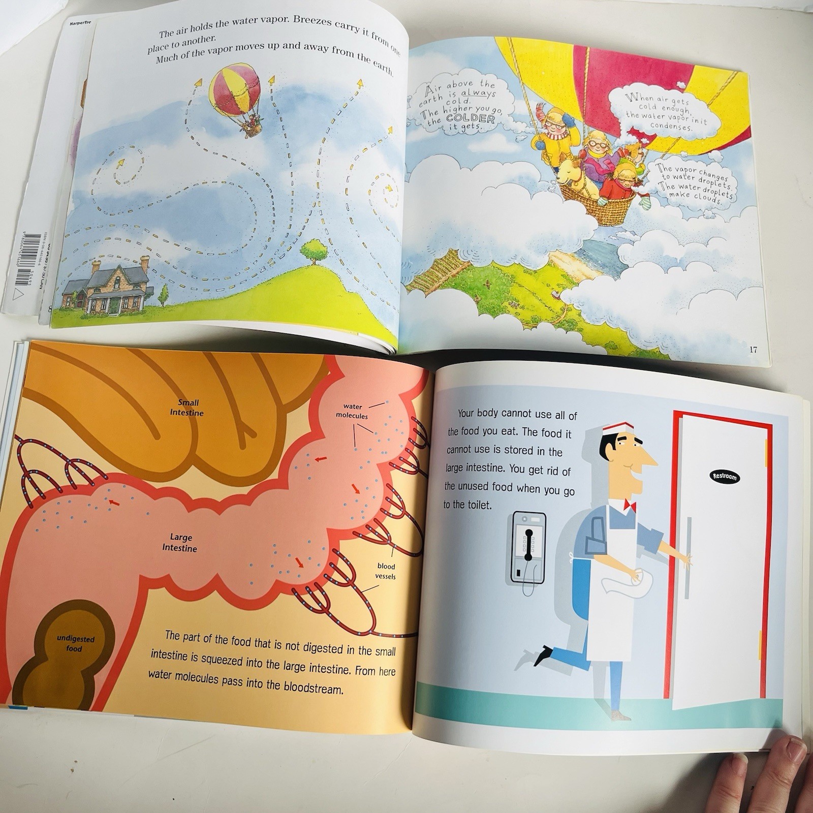 Lets Read and Find Out Science Book Lot 12 Hamburger Skeleton Planets Dinosaur P