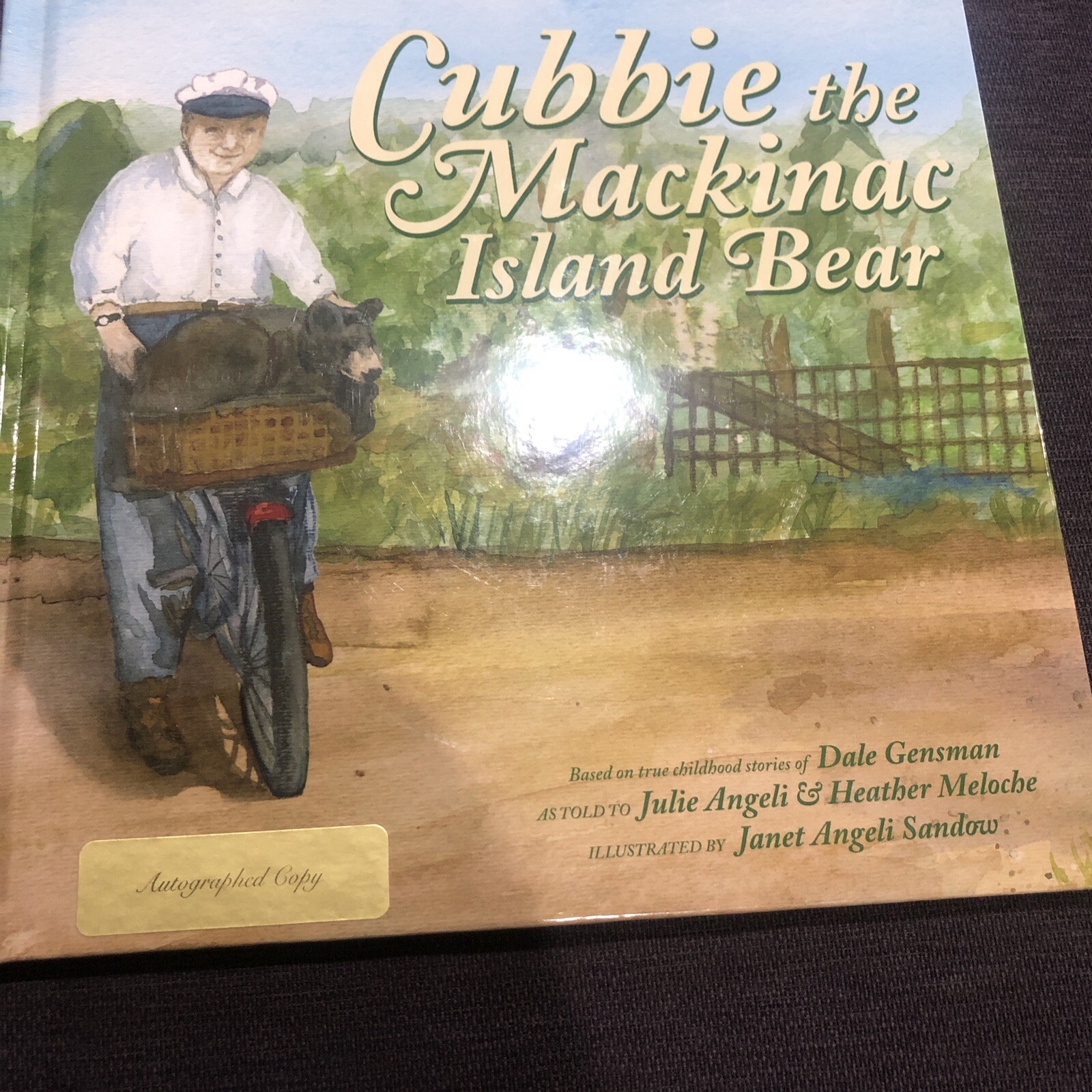 Cubbie the Mackinac Island Bear by Meloche and Angeli (2010, Trade Paperback)