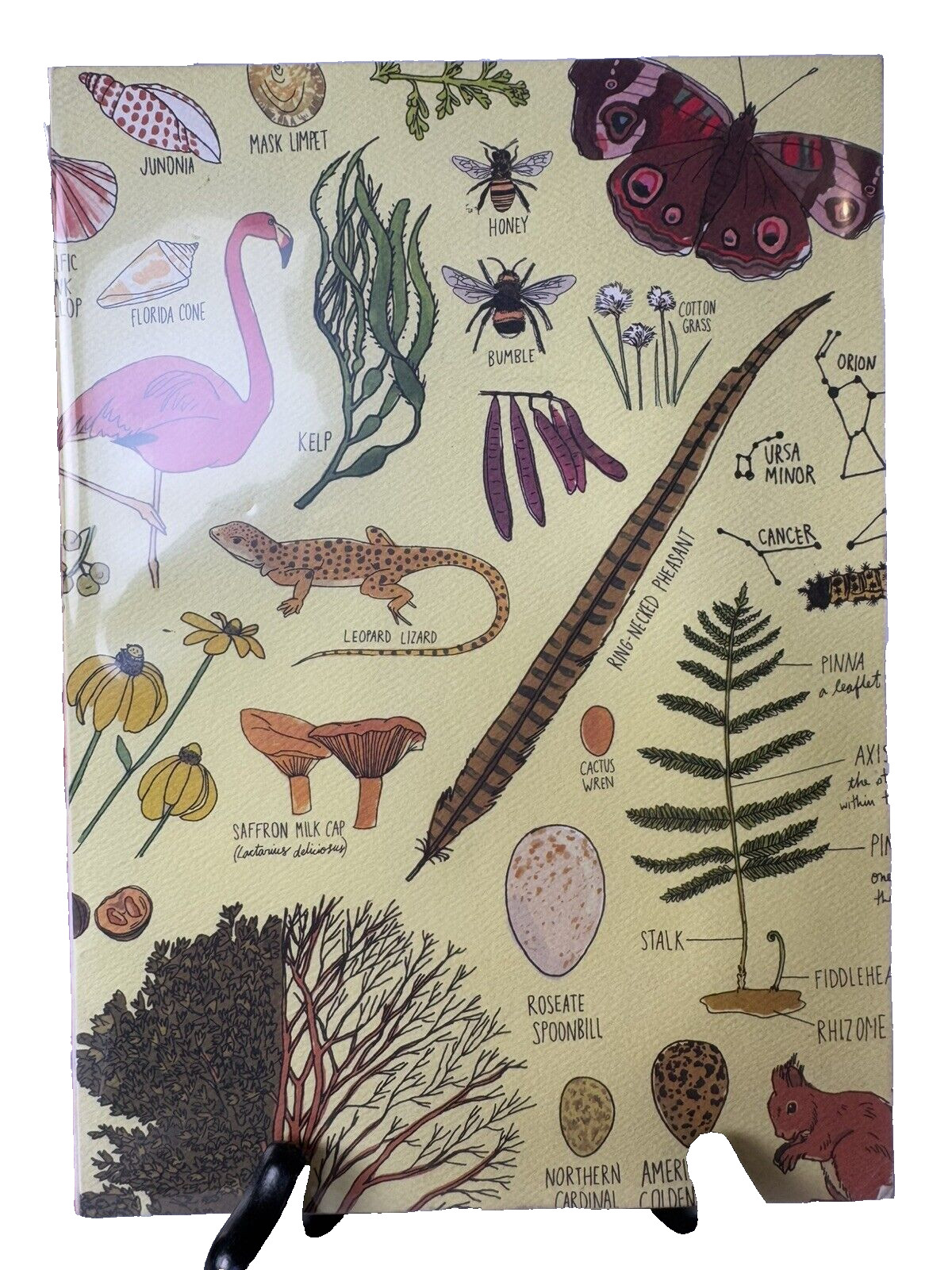Julia Rothman 2019 Illustrated Nature Journal Notebook Hardcover – New