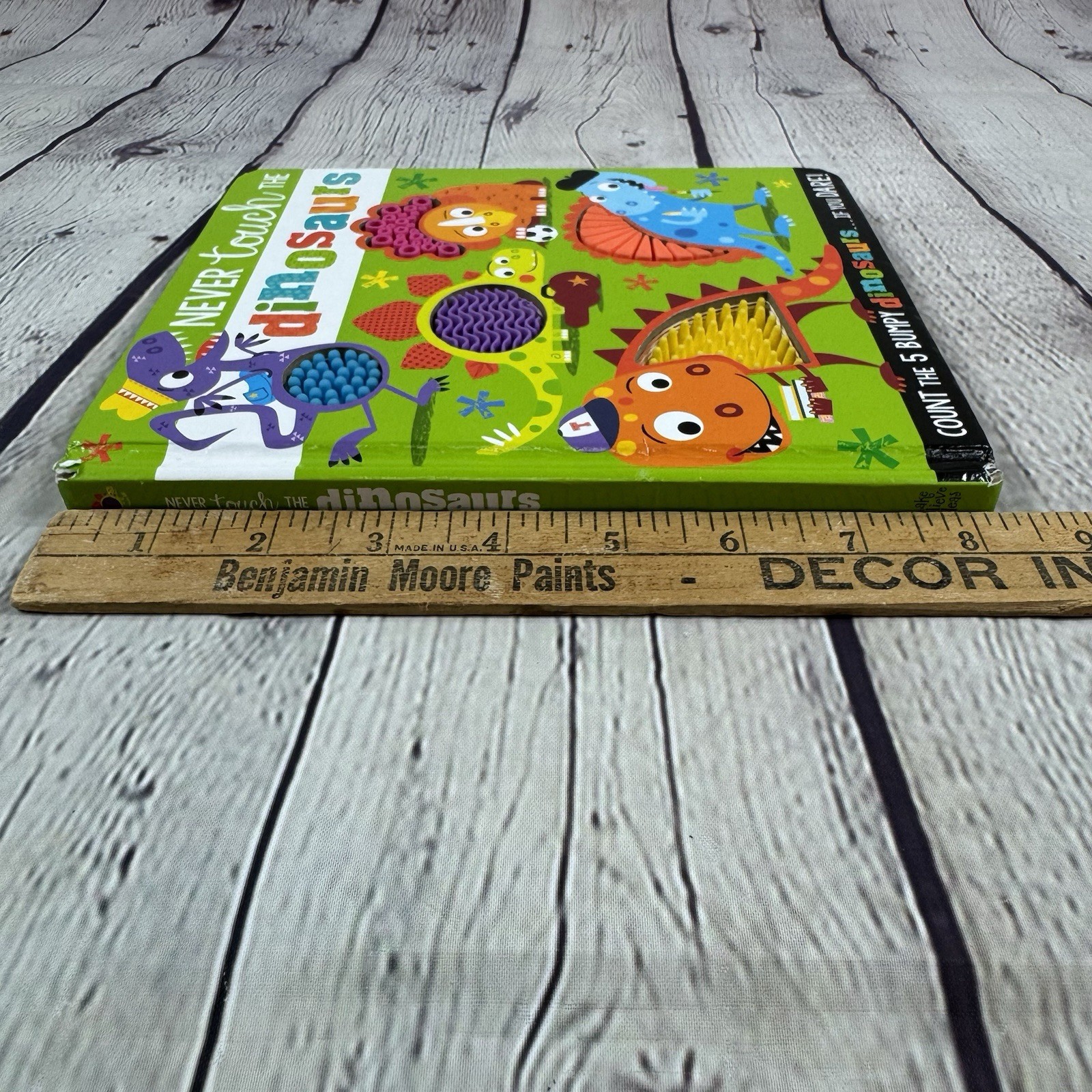 Never Touch the Dinosaurs by Greening Rosie Baby Kids Toddler Hard Board Book