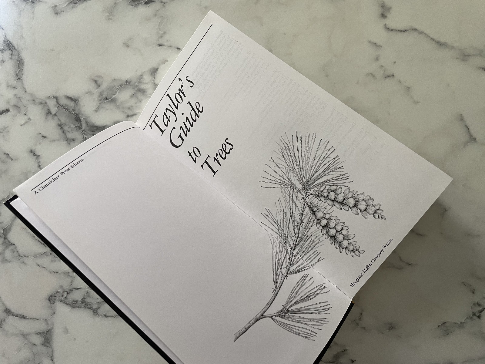 NEW Taylor&rsquo;s Guide to Trees (Taylor&rsquo;s Guides to Gardening) GARDEN DESIGN BOOK