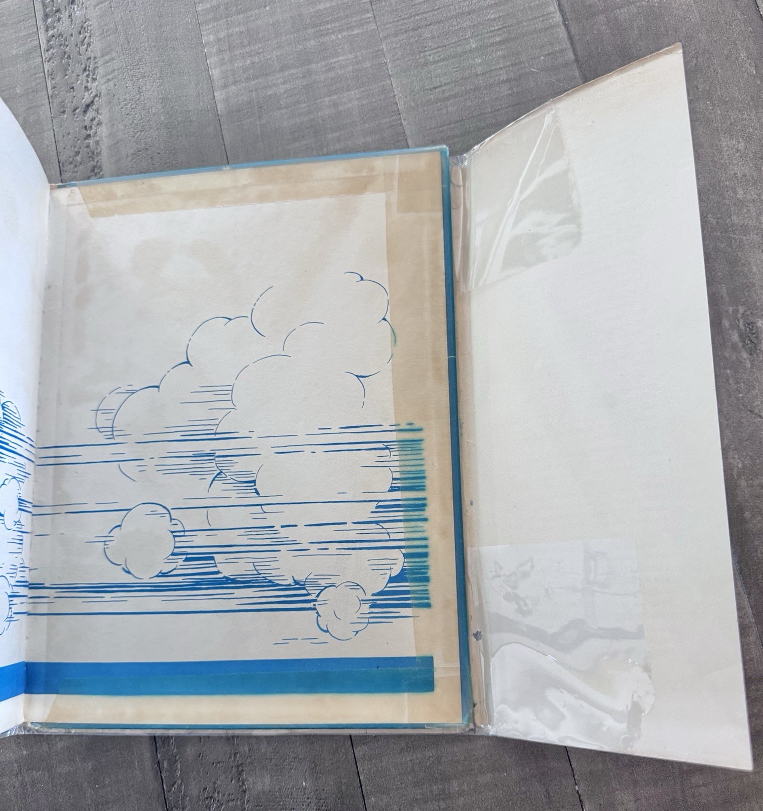 1937 DR SEUSS MULBERRY STREET 1ST STATE / 1ST EDITION w/DUST JACKET ~ $7500 Firm