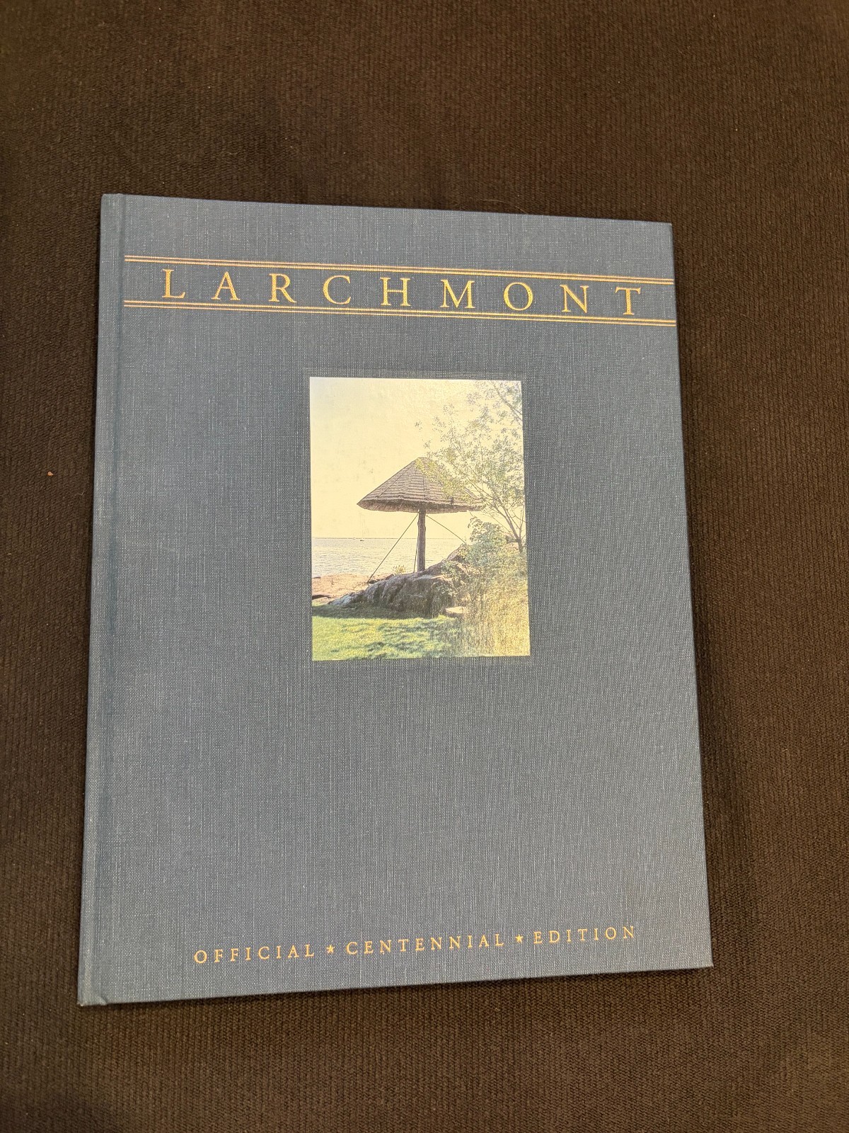 1991 Larchmont NY Centennial Edition Book and Program – NEW – and Program