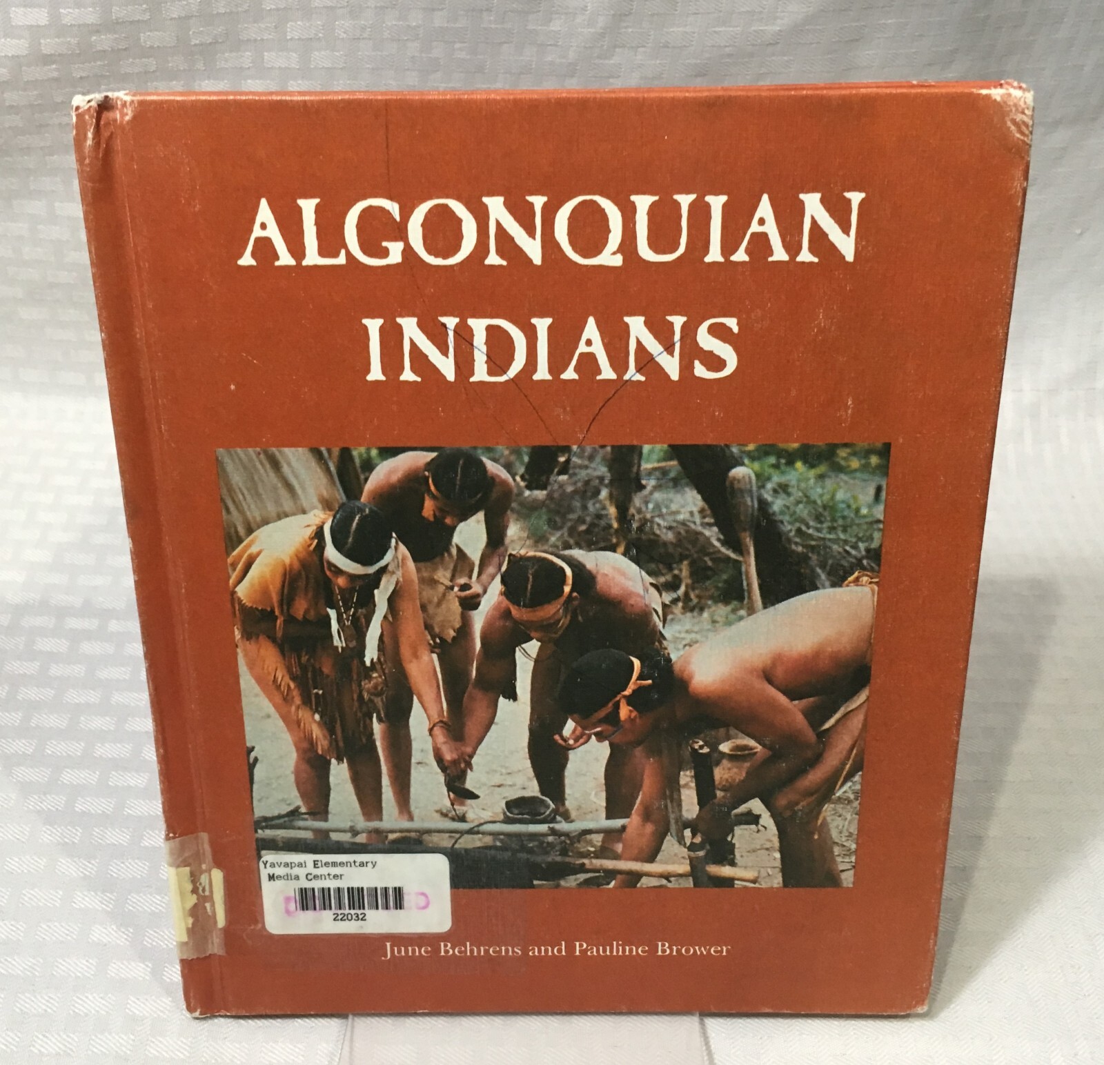 NATIVE AMERICAN BOOK LOT / 10 CHILDREN&rsquo;S PICTURE BOOK / HC / MULTIPLE TITLES