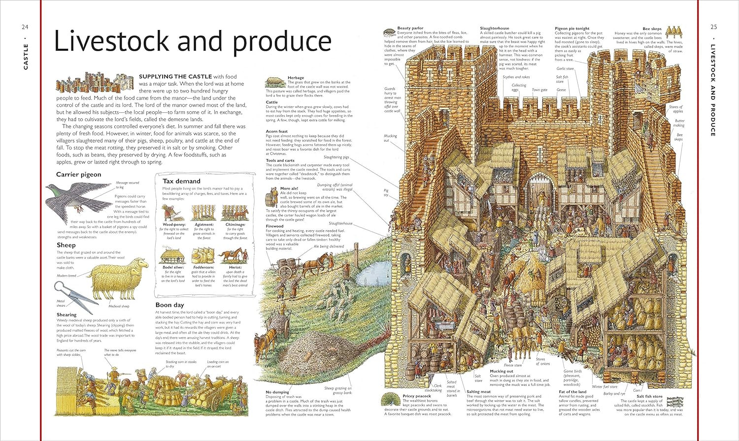 Stephen Biesty&rsquo;S Cross-Sections Castle