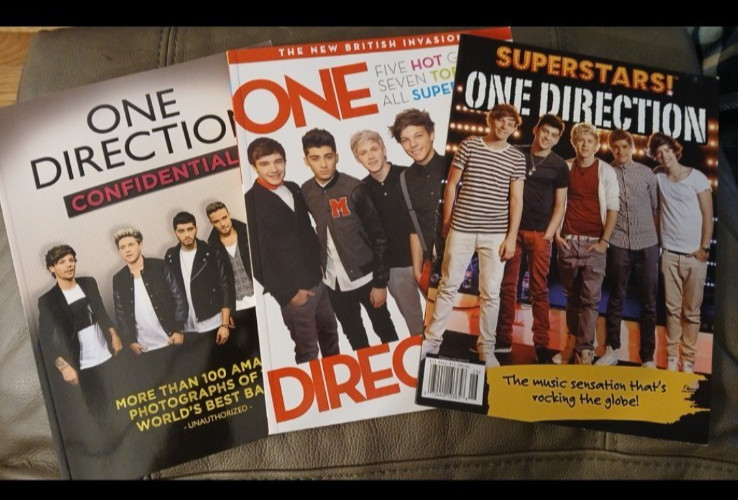 Rare One Direction Book Lot