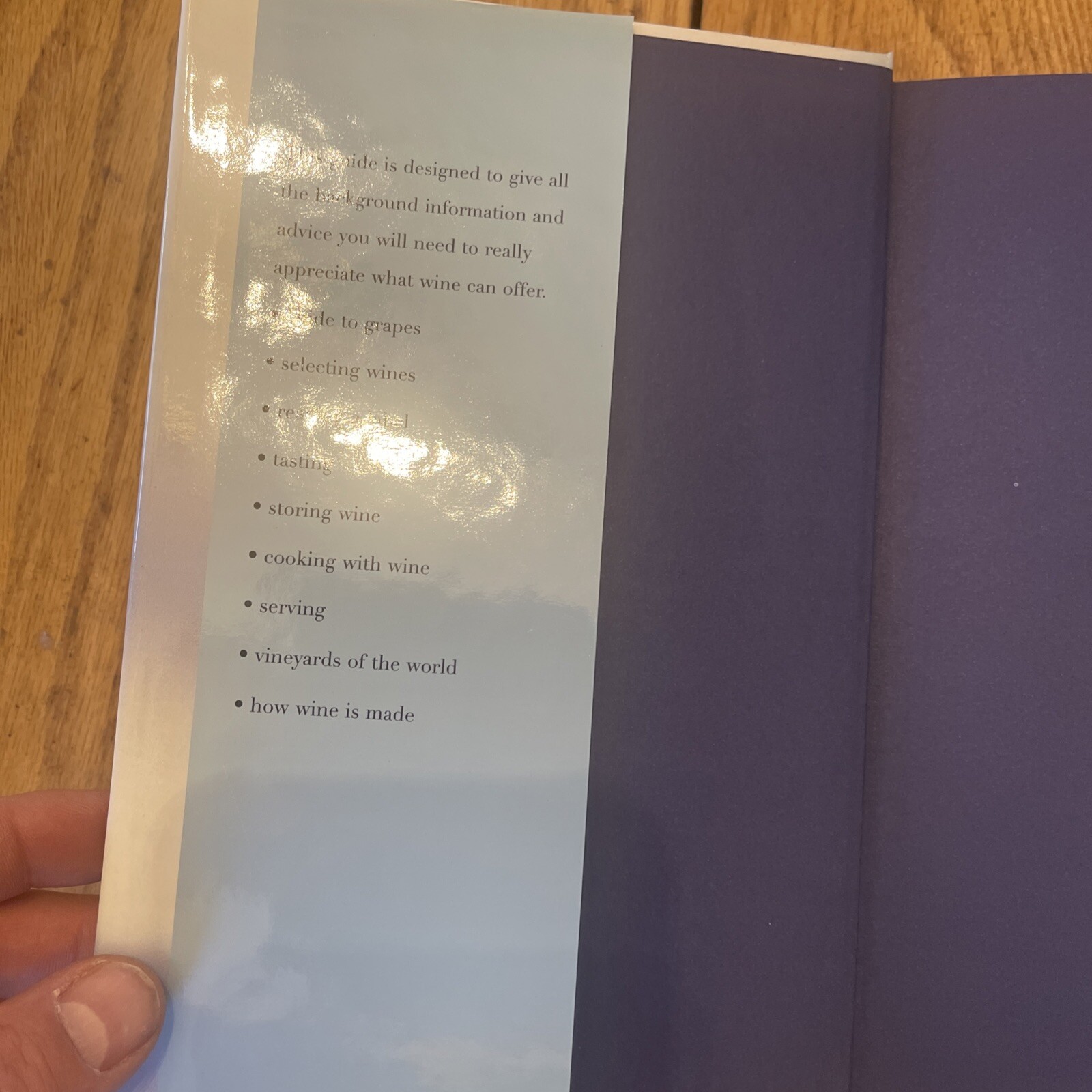 Guide to Wine (Drinks Books) by Fiona Sims