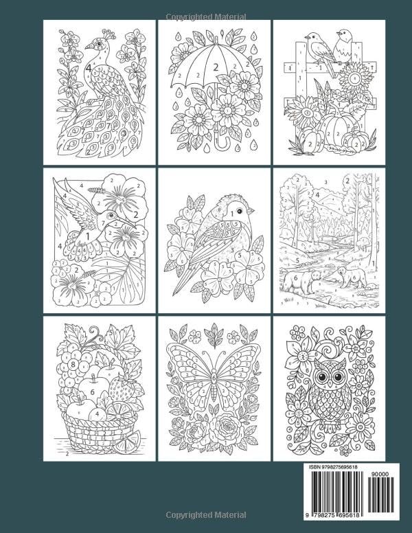 100 Pages Color By Number Adult Coloring Book: 100 Pages Large Print Paperback