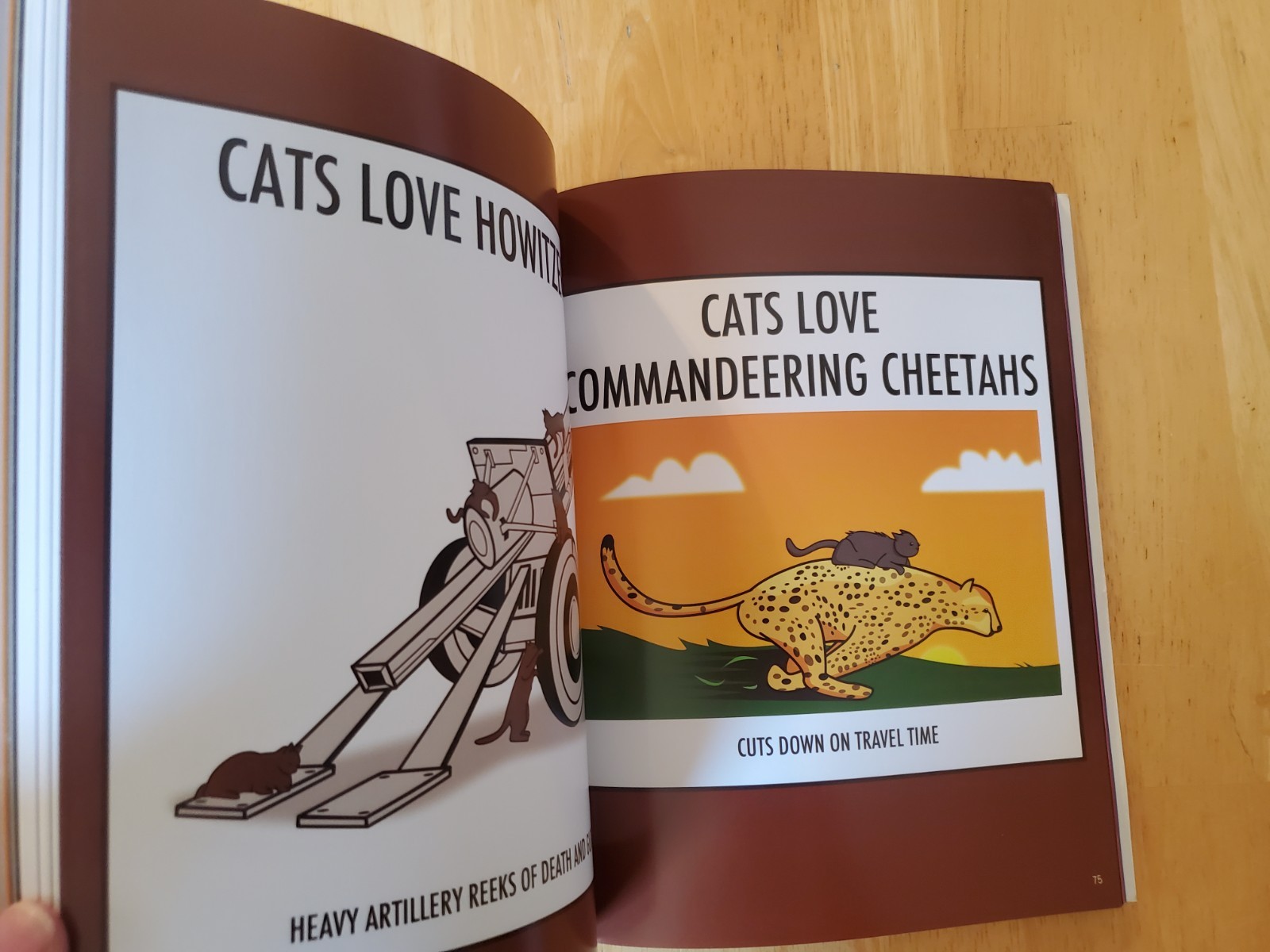 How to Tell If Your Cat Is Plotting to Kill You With Poster The Oatmeal 2012