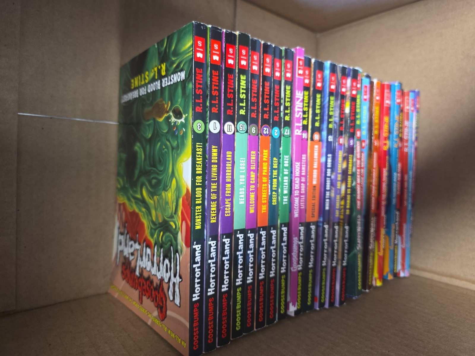 Goosebumps books (Lot)