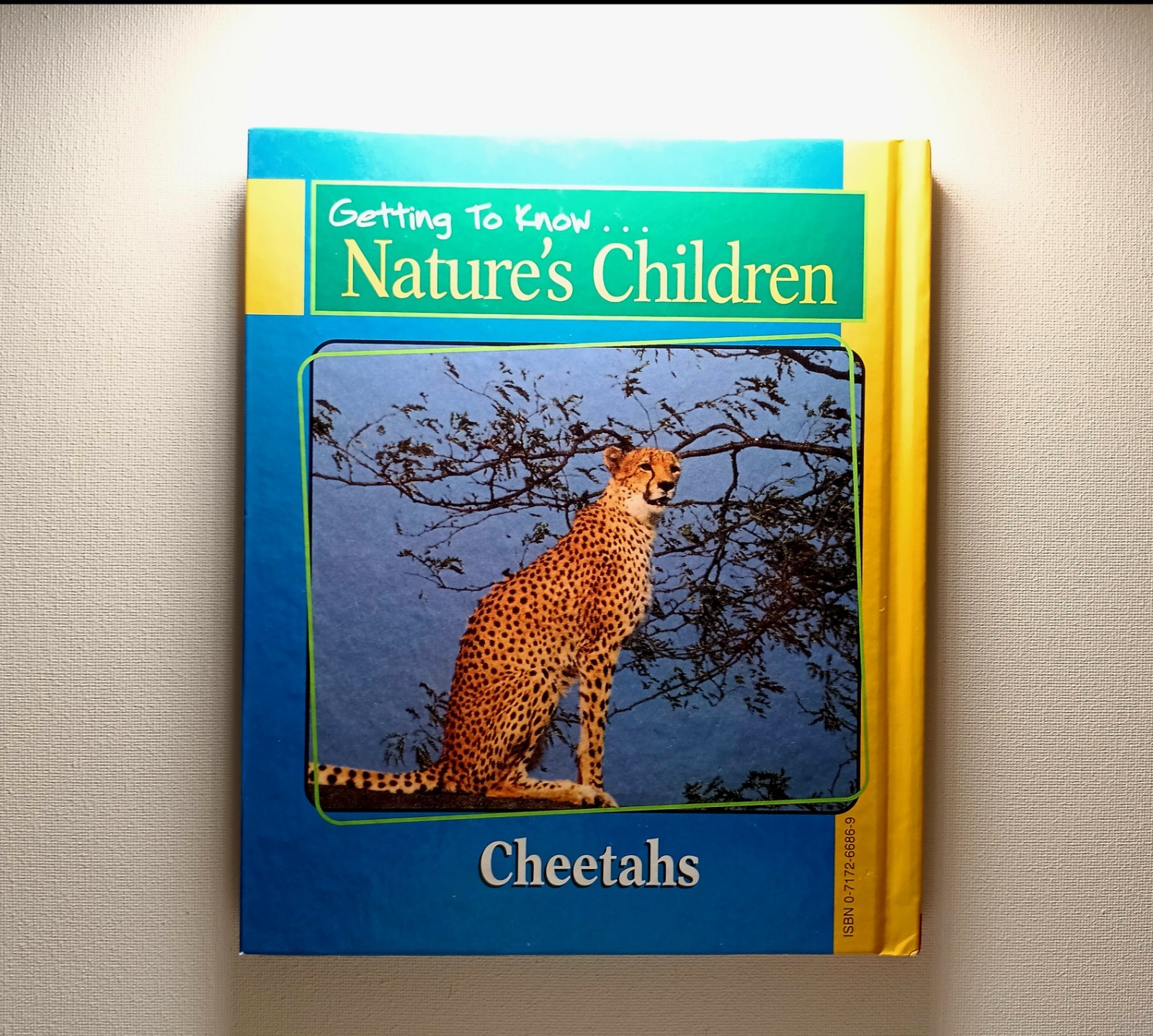 Scholastic Getting to know Nature&rsquo;s children Animal Books Lot of 6 (hard cover)