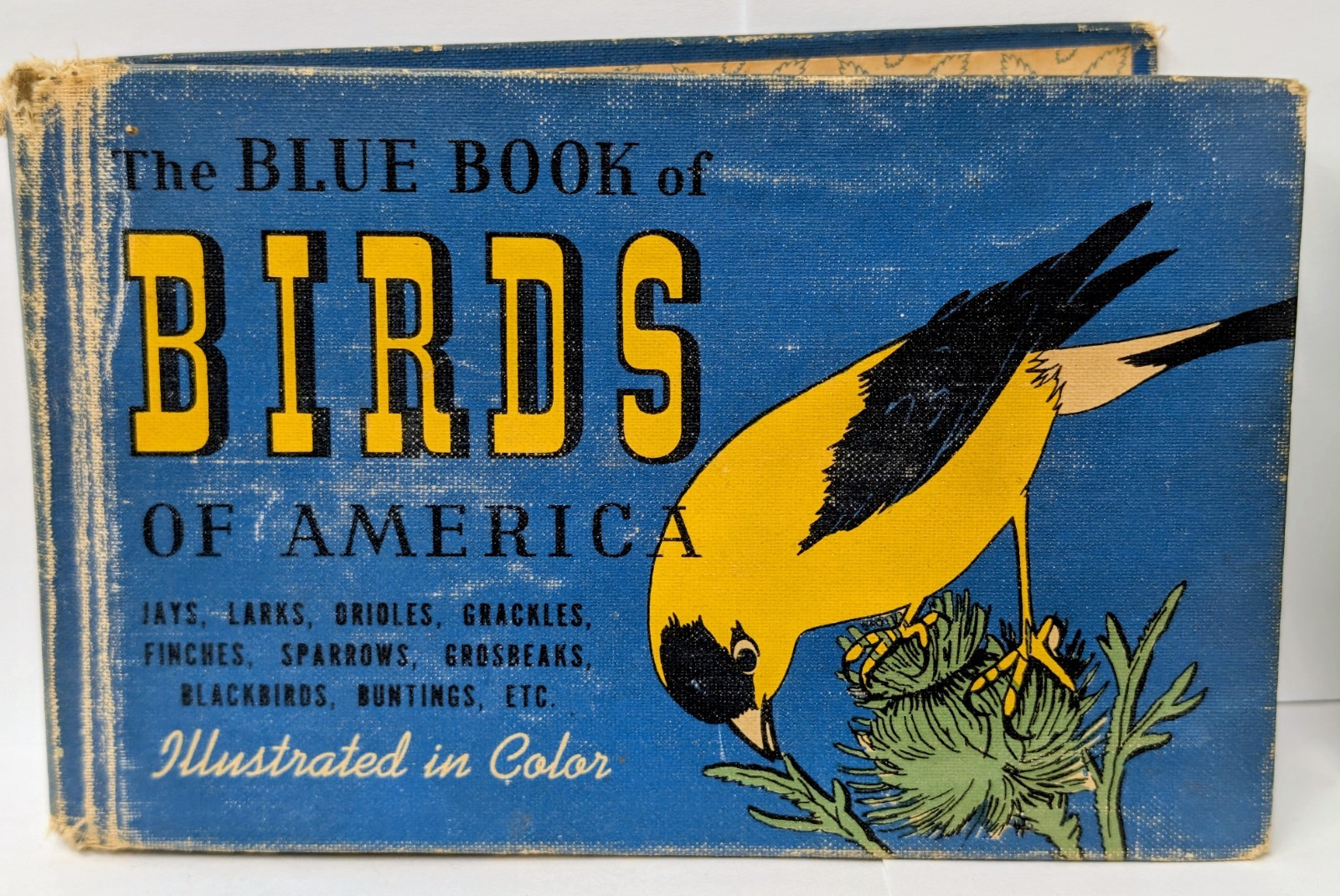 Vintage 1940s Birds of America Blue Green Red Book Set MCM Illustrated HB Set 3