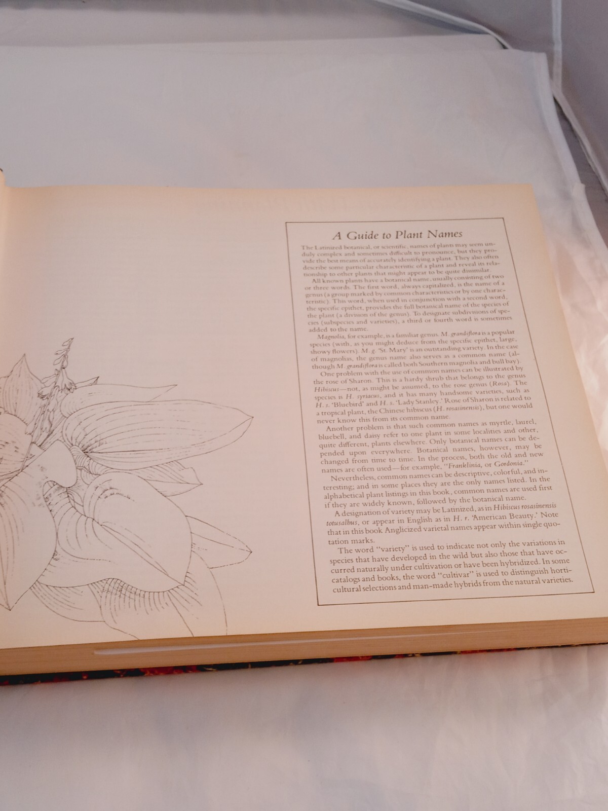 Vintage 1978 Reader&rsquo;s Digest Illustrated Guide to Gardening Hardcover; 672 pages