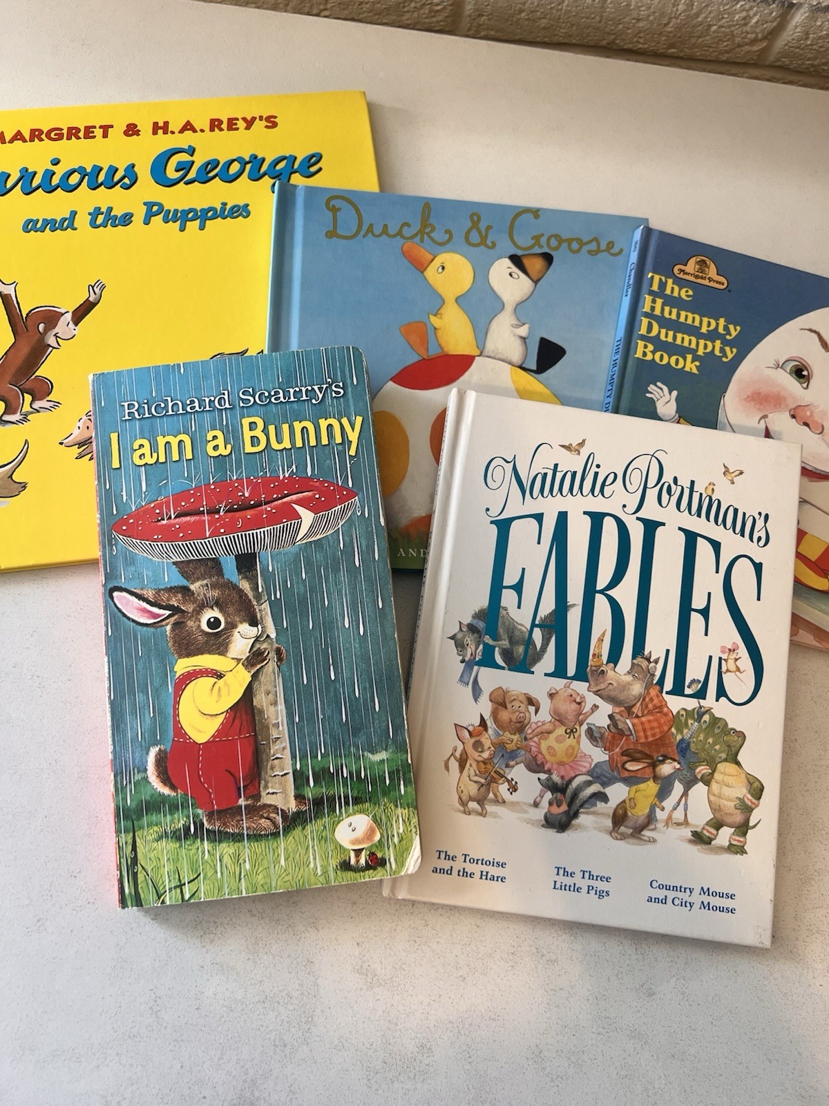 Picture Book Lot of 5 Books for Children&rsquo;s Kids Toddler Daycare Hardback Curious