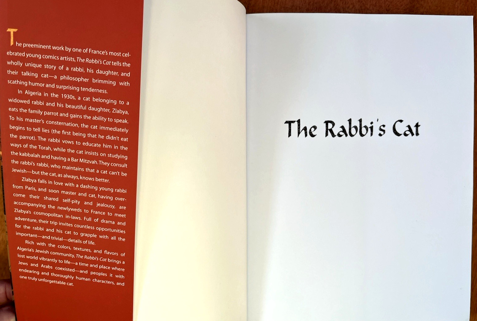 The Rabbi&rsquo;s Cat graphic novel (2005 1st American paperback edition, SC) Like New