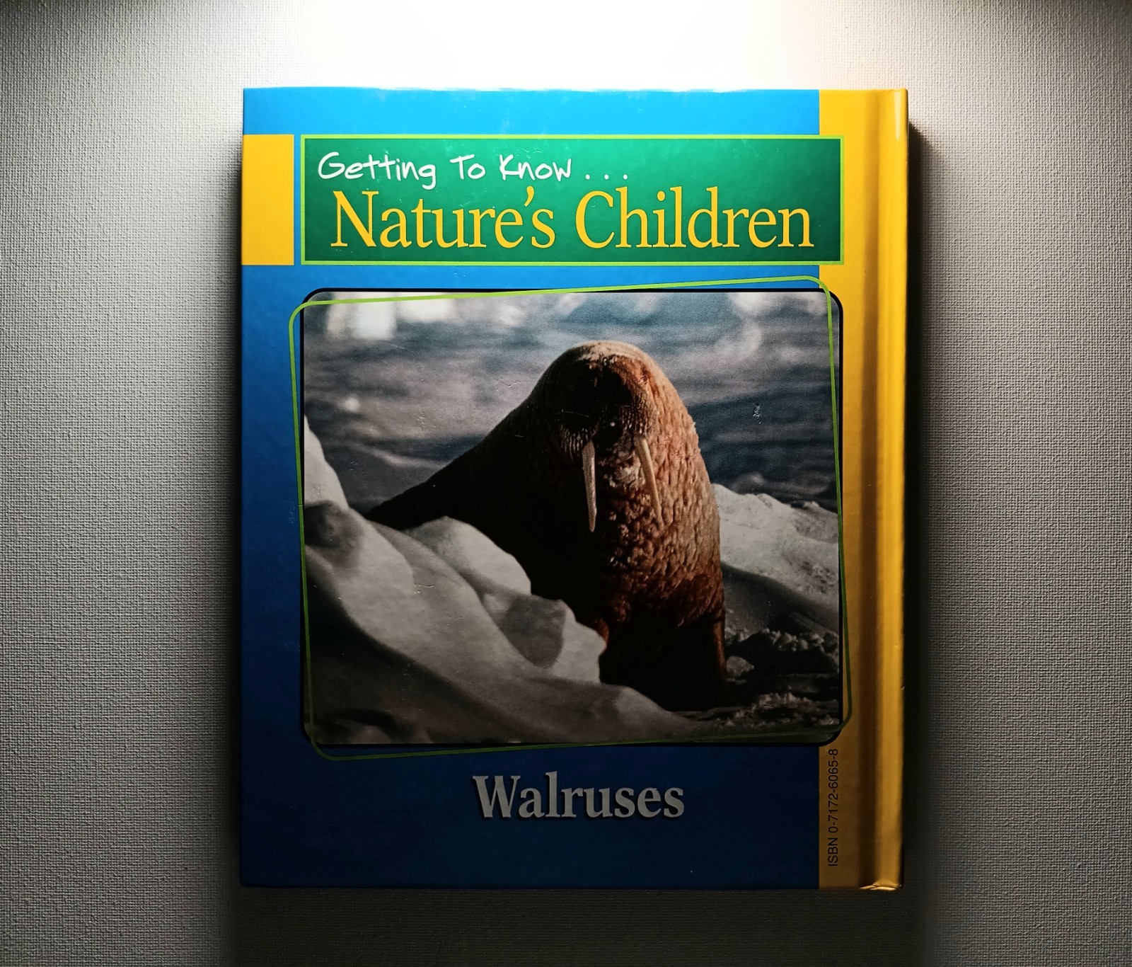 Scholastic Getting to know Nature&rsquo;s children Animal Books Lot of 6 (hard cover)