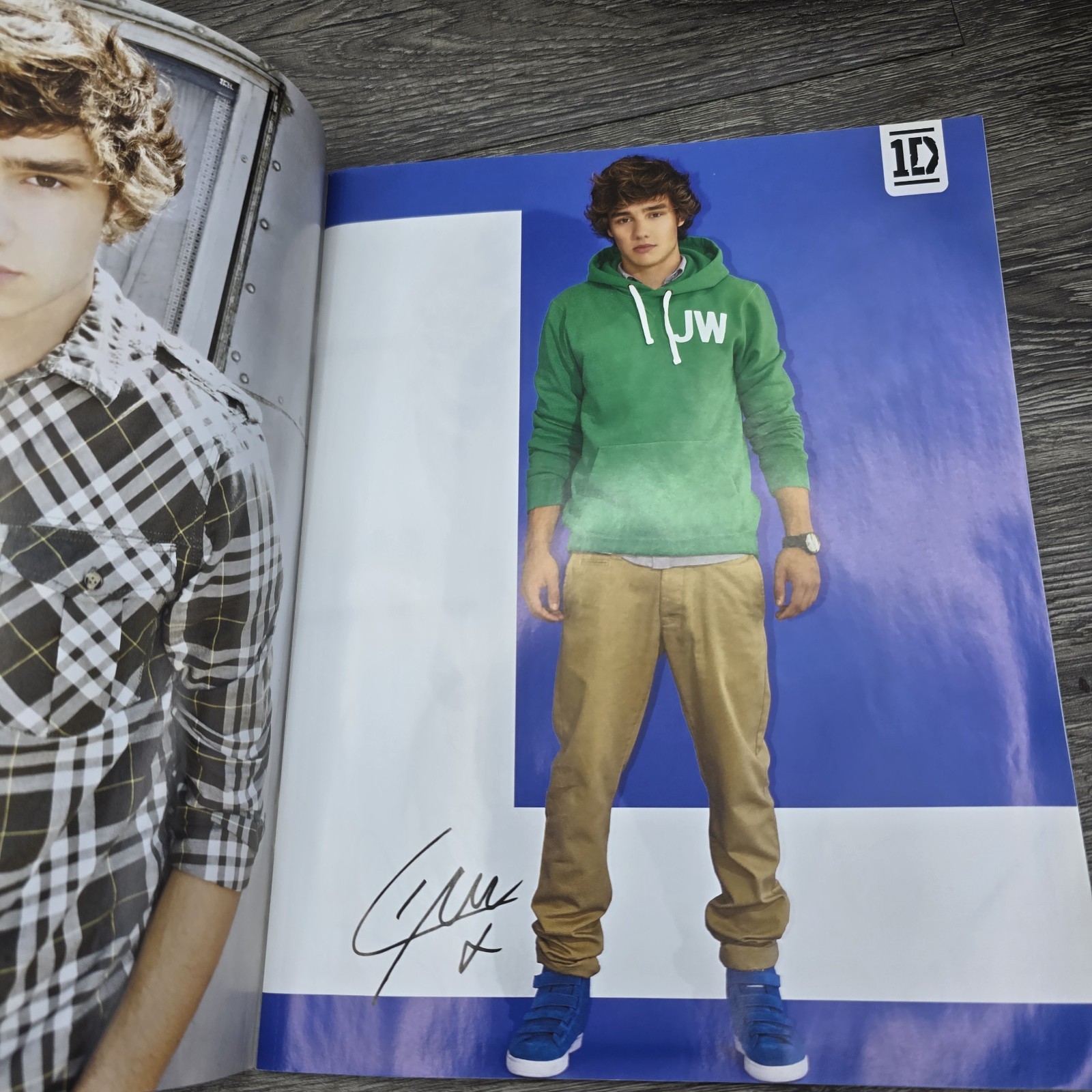 One Direction 1D Official Poster Collection: Bonus Double Poster RARE Version 2