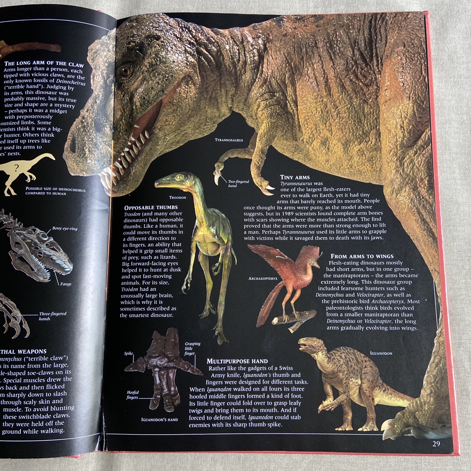 Guide to Dinosaurs by David Lambert (2000, DK Hardcover PERMA-BOUND) Children NF