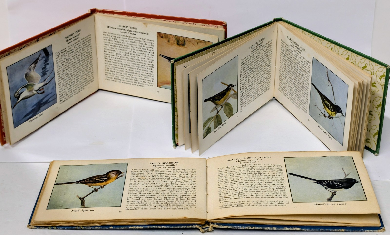 Vintage 1940s Birds of America Blue Green Red Book Set MCM Illustrated HB Set 3