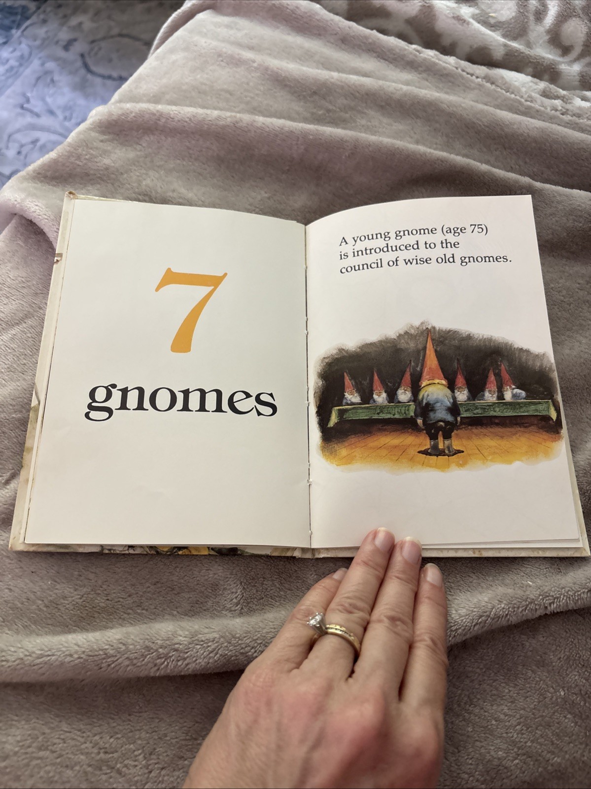 A Gnome Counting Book~By Will Huygen Illustrator Rien Poortvliet Harry Abrams VG