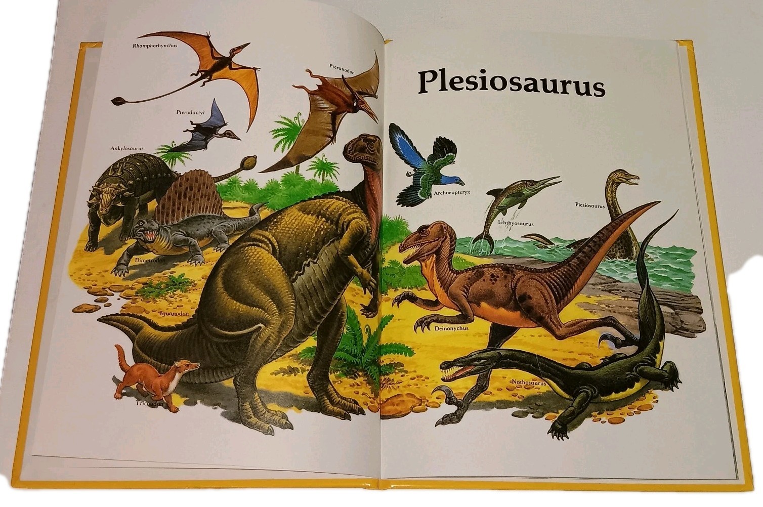 3 Books Dinosaurs Plesiosaurus •The Great Dino Mystery & Bible by Paul S Taylor