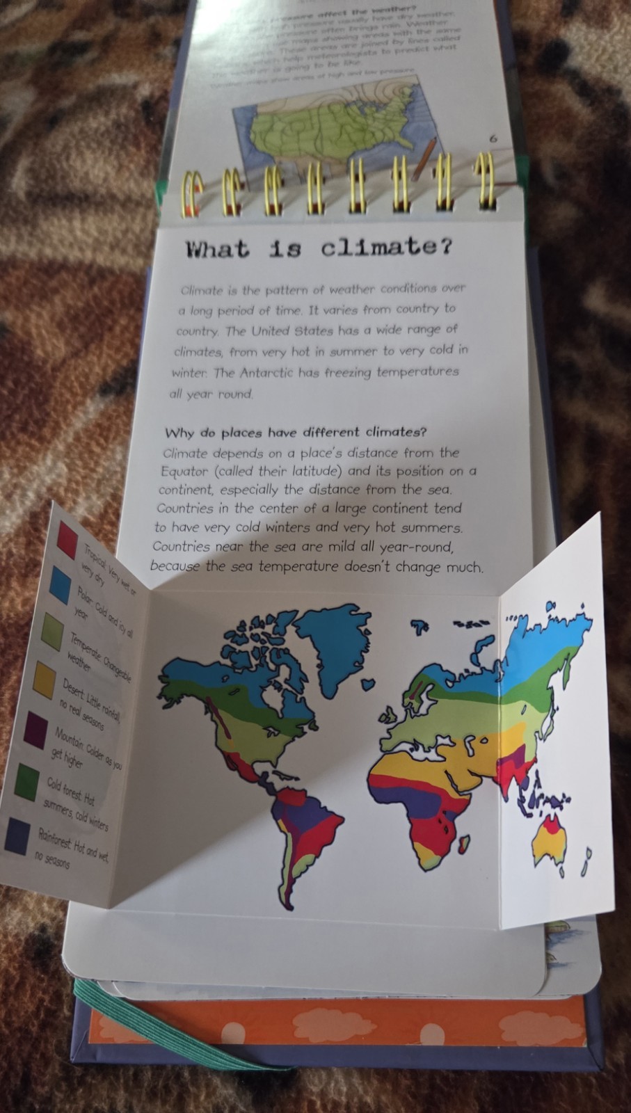 The Cool Kid&rsquo;s Field Guide To Weather Lisa Regan Hardcover 26 Pages Flip Book