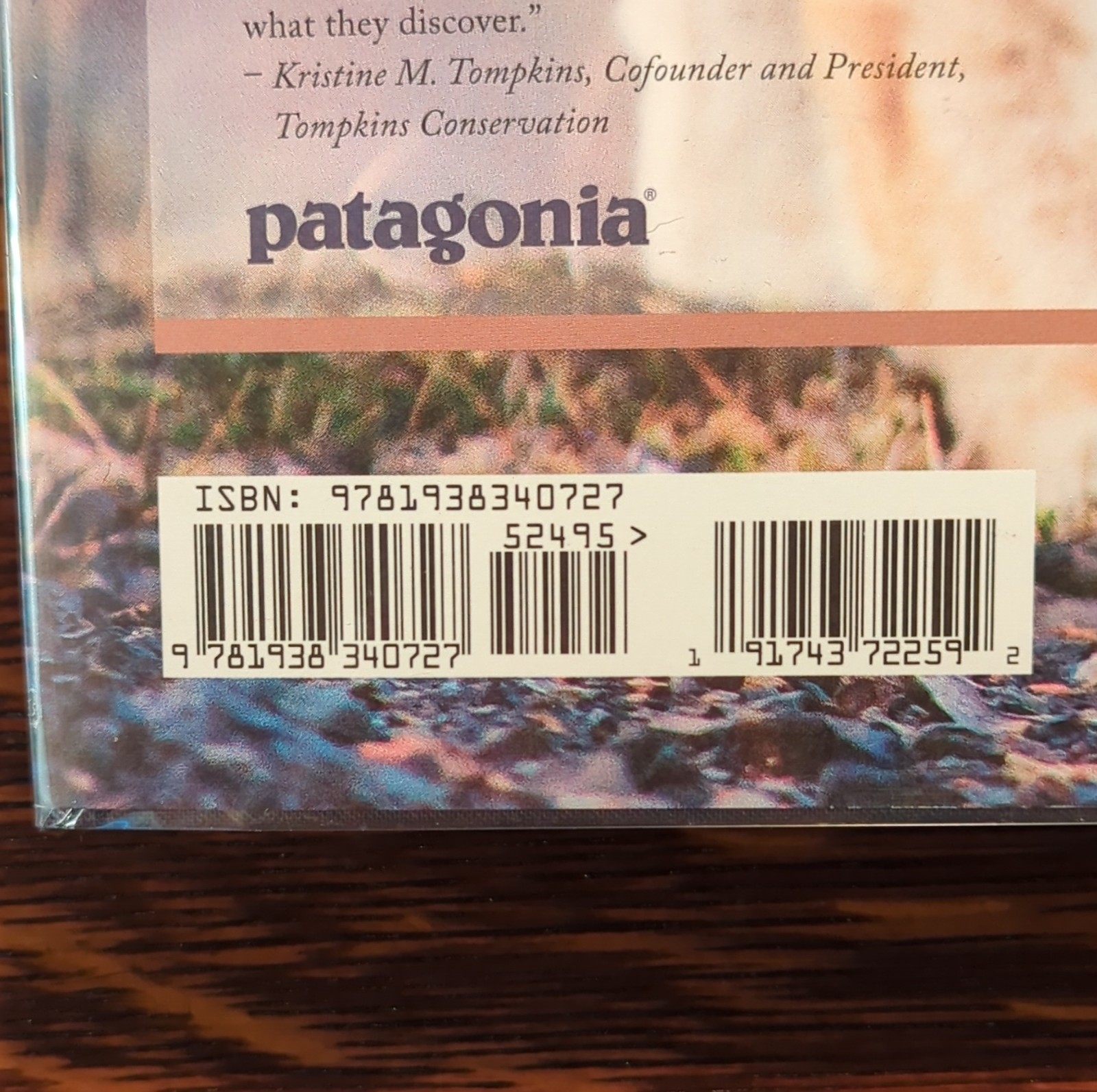 Patagonia Path of the Puma: Mountain Lion Resilience by Jim Williams, Hardcover