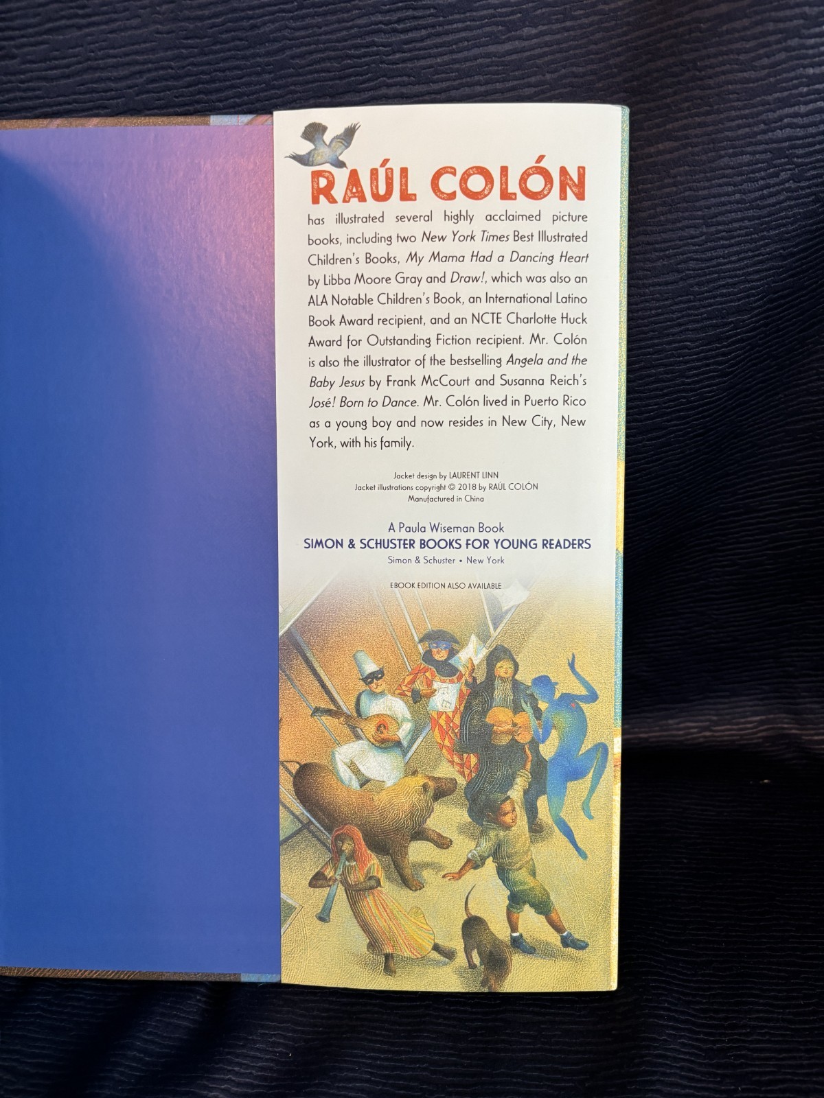 Imagine! By Raul Colon – Picture Book – Signed Unused Dust Jacket First Edition
