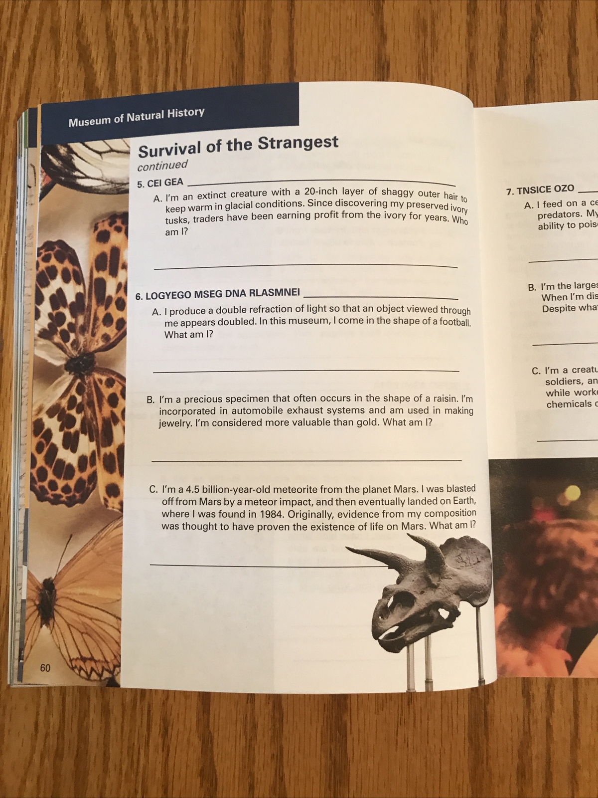 Washington D C Personal Interactive Guide Booklet 78 pages