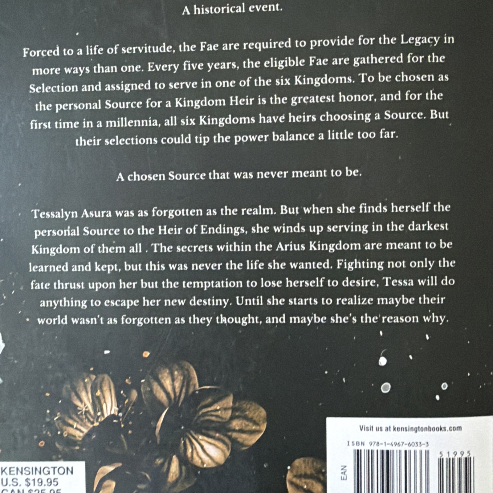 Rain of Shadows and Endings by Melissa K. Roehrich Paperback Legacy series #1